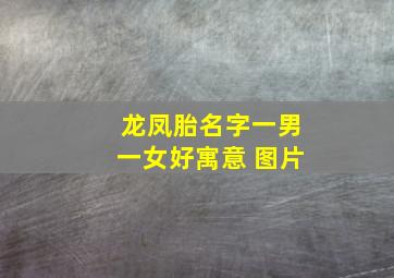 龙凤胎名字一男一女好寓意 图片